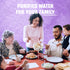 Pure Life Purified Water, Plastic Bottled Water, 40 pk./16.9 fl. oz.
